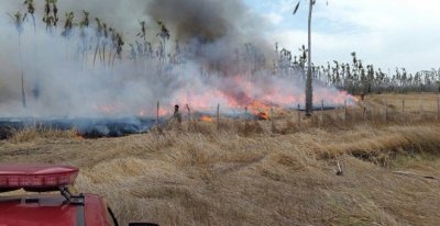 INCENDIO FLORESTAL PHB