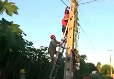 SUICIDA