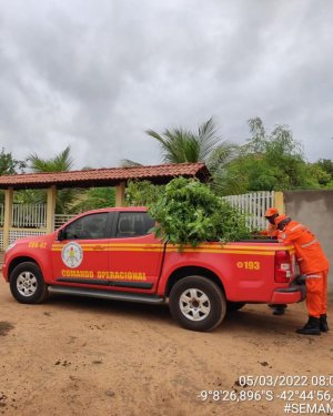 PLANTIO DE APROXIMADAMENTE 400 RVORES EM UMA REA DO ASSENTAMENTO DE SRN-PI QUE FOI IMPACTADA PELO GRANDE INCNDIO DE SETEMBRO DE 2021