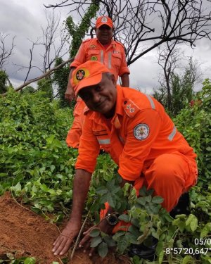 PLANTIO DE APROXIMADAMENTE 400 RVORES EM UMA REA DO ASSENTAMENTO DE SRN-PI QUE FOI IMPACTADA PELO GRANDE INCNDIO DE SETEMBRO DE 2021