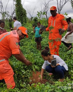 PLANTIO DE APROXIMADAMENTE 400 RVORES EM UMA REA DO ASSENTAMENTO DE SRN-PI QUE FOI IMPACTADA PELO GRANDE INCNDIO DE SETEMBRO DE 2021